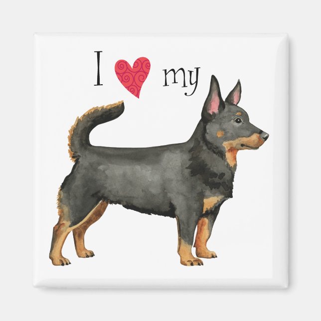Imán Me encanta mi Heeler de Lancashire (Frente)