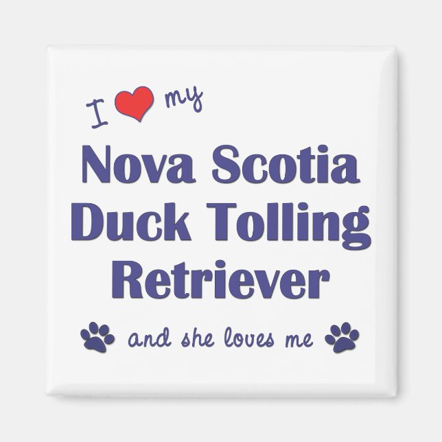 Imán Me Encanta Mi Nova Scotia Duck Tolling Retriever ( (Frente)