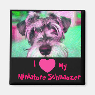 Imán Me Encanta Mi Pequeño Magnate Schnauzer