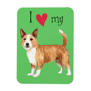 Imán Me encanta mi portugués Podengo Pequeno