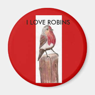 Imán , ME ENCANTA ROBINS Magnet