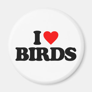 IMÁN ME ENCANTAN LAS AVES