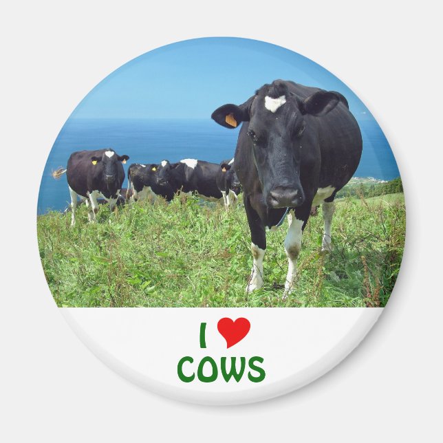 Imán Me encantan las vacas (Frente)