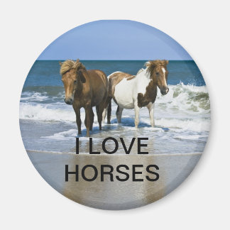 IMÁN ME ENCANTAN LOS CABALLOS MAGNET