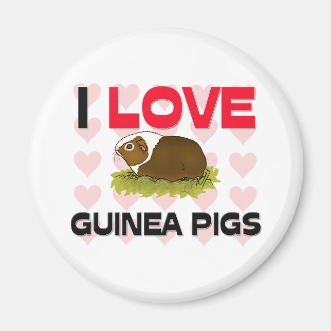 Imán Me encantan los cerdos de Guinea (Frente)