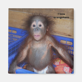 Imán Me encantan los orangutanes