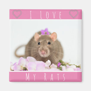 Imán Me encantan mis ratas