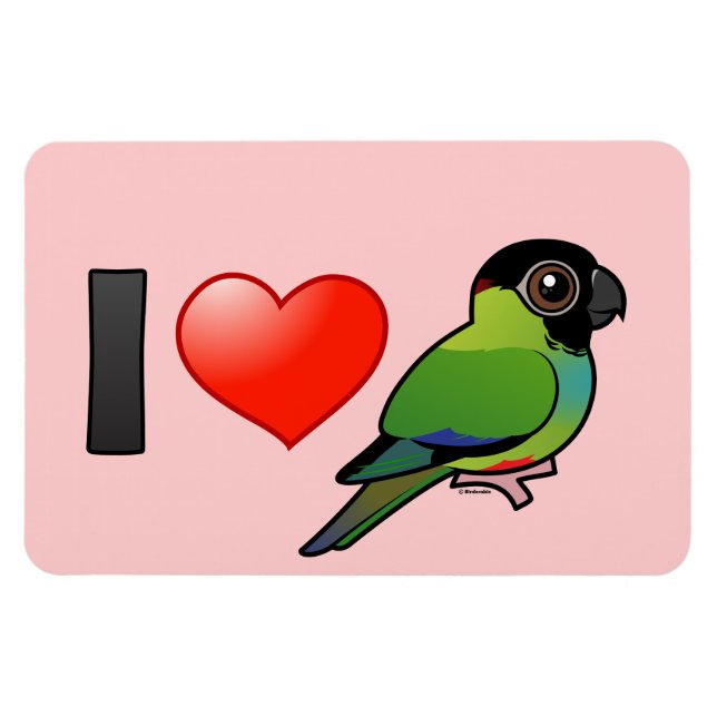 Imán Me Encanto Nanday Conures (Horizontal)
