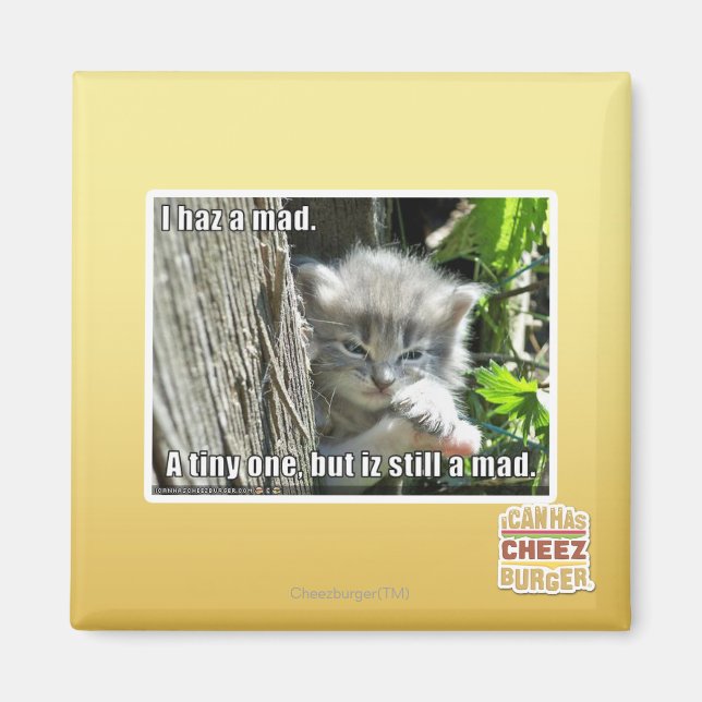 Imán Me he vuelto loco (Frente)