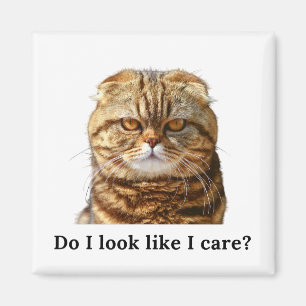 Imán "Me parece que me importa" Grumpy Cat