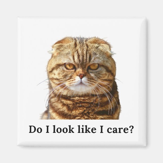 Imán "Me parece que me importa" Grumpy Cat (Frente)