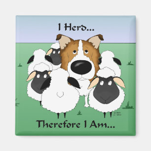 Imán Me Rebaño... Por Lo Tanto Soy Magnet