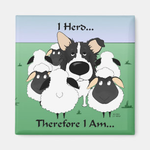 Imán Me Rebaño... Por Lo Tanto Soy Magnet