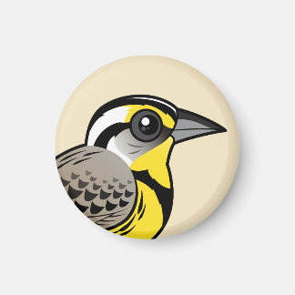Imán Meadowlark Occidental