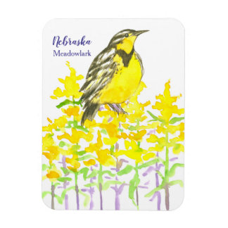 Imán Meadowlark Occidental Goldenrod Yellow Wildflower