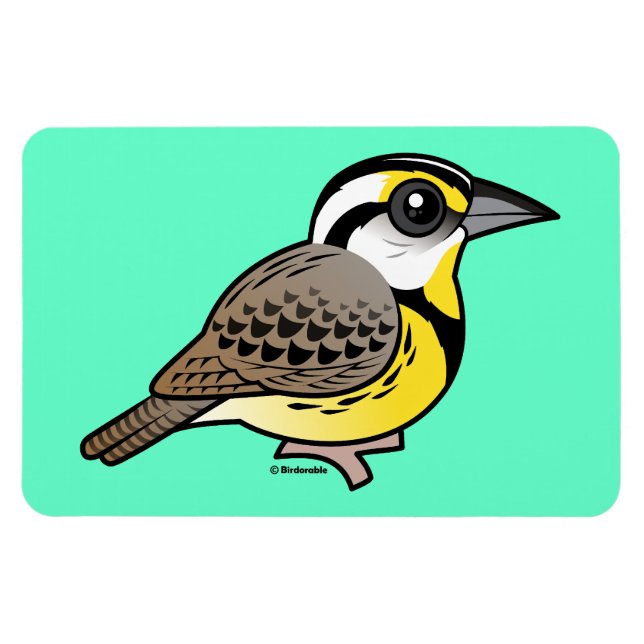 Imán Meadowlark oriental (Horizontal)
