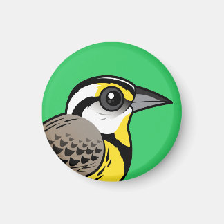 Imán Meadowlark oriental