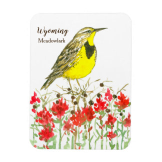Imán Meadowlark Wyoming, pincel indio