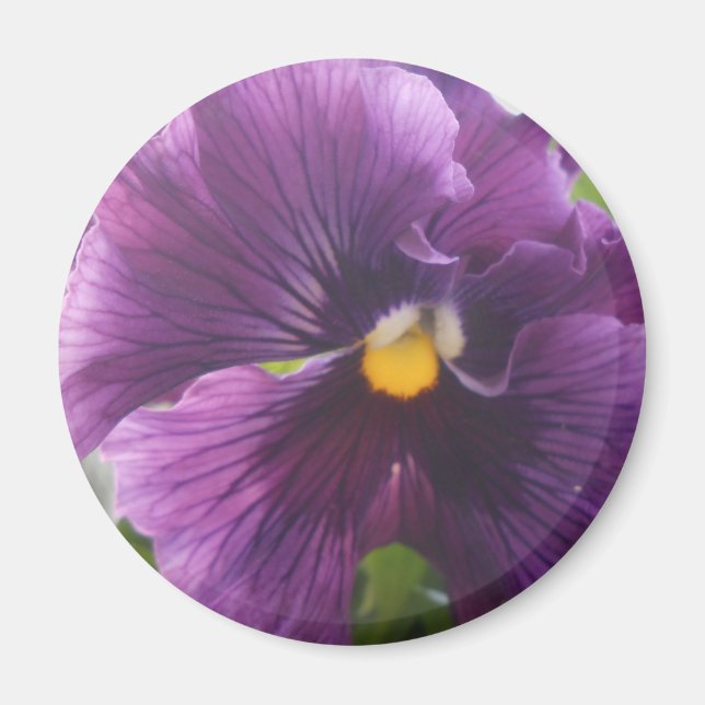 Imán Mechteld (Frente)