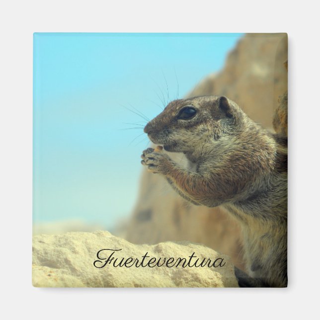 Imán Media luna de atlas (Frente)