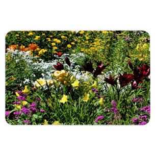 Imán ¡Mediados de jardines coloridos del verano!