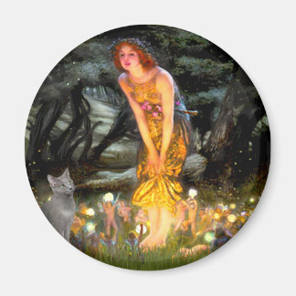 Imán Medianoche - gato azul ruso