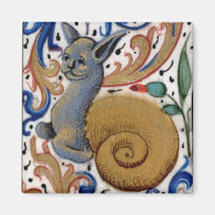 Imán medieval del caracol-gato