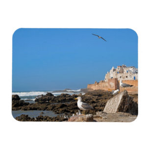 Imán Medina de Essaouira y de la costa atlántica