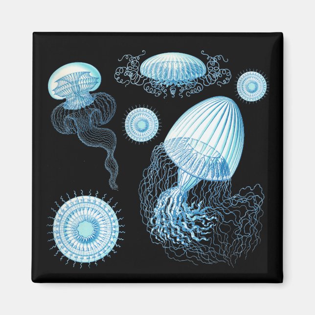 Imán Medusa de Haeckel personalizable (Frente)