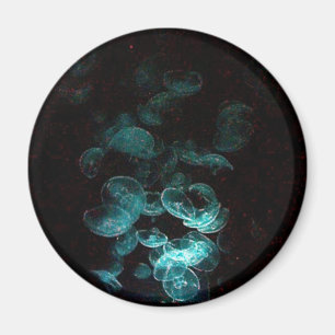 Imán medusas bajo blacklight