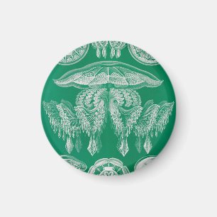 Imán Medusas, Discomedusae por Ernst Haeckel