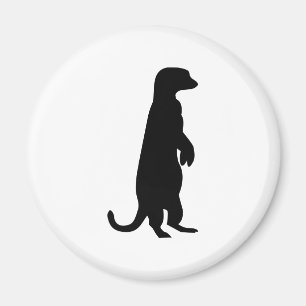 Imán Meerkat