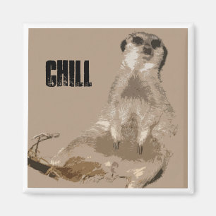 Imán meerkat