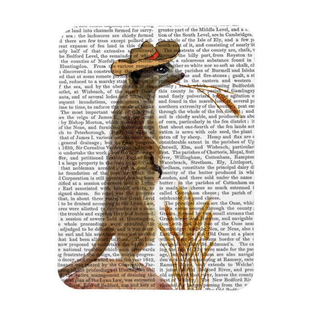 Imán Meerkat Cowboy (Vertical)