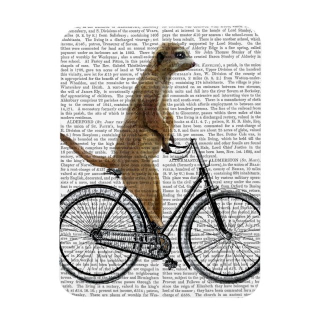 Imán Meerkat en bicicleta (Vertical)