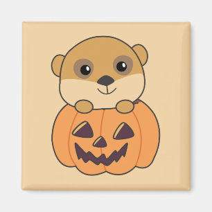 Imán Meerkat En Calabaza Animales Cuidados Felices Mamá