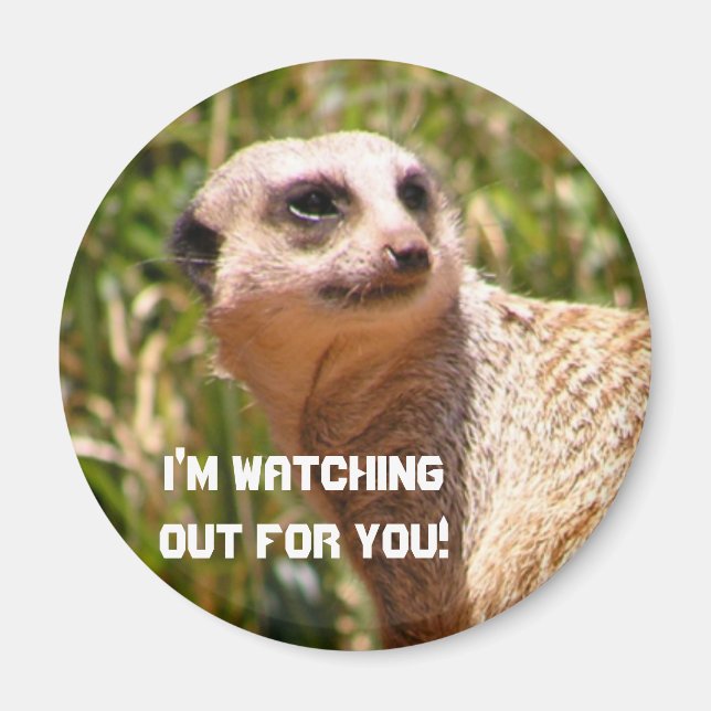 Imán Meerkat lookout (Frente)