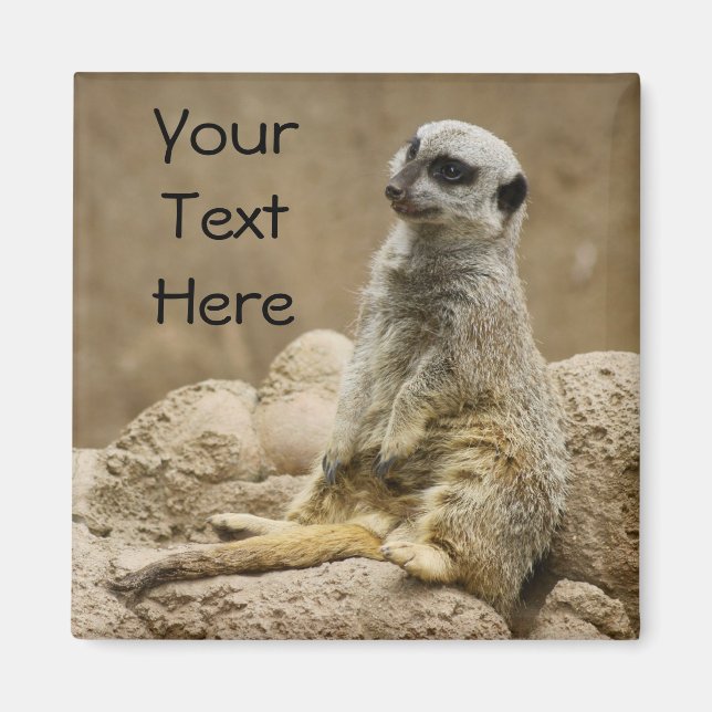 Imán Meerkat Magnet (Frente)