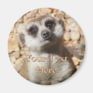 Imán Meerkat Magnet