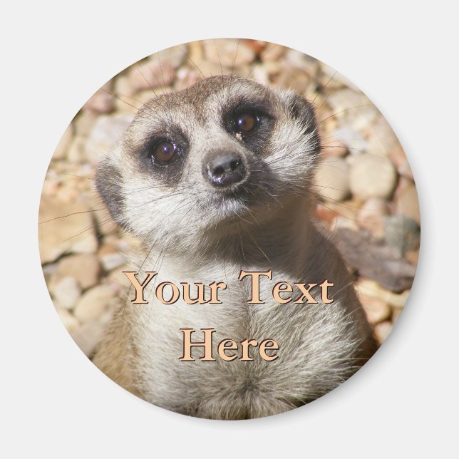 Imán Meerkat Magnet (Frente)