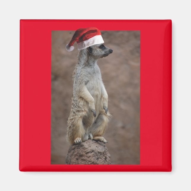 Imán Meerkat-Santa (Frente)