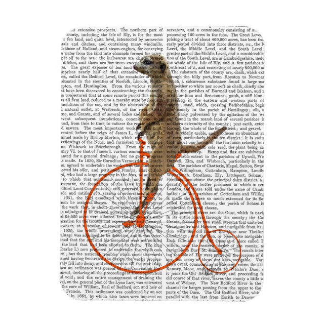Imán Meerkat sobre la Naranja Penny Farthing (Vertical)