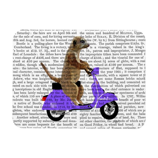Imán Meerkat sobre Lilac Moped (Horizontal)