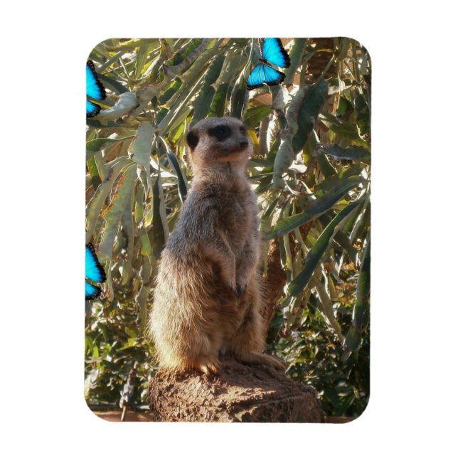 Imán Meerkat Y Mariposas Azules, (Vertical)