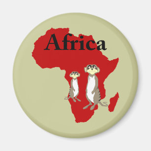 Imán Meerkats de África