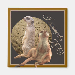 Imán Meerkats Indianapolis Zoo