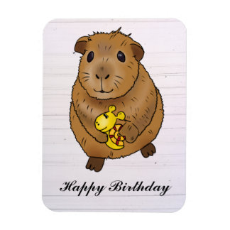 Imán Meerschweinchen und Schnecke