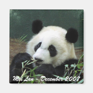 Imán Mei Lan Magnet