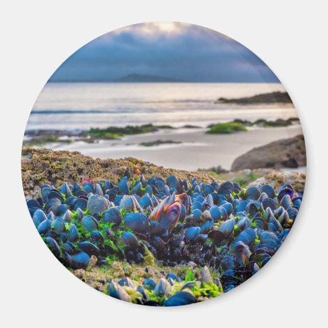 Imán Mejillones (Frente)