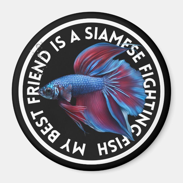 Imán Mejor Amigo Blue Red Betta Fish (Frente)